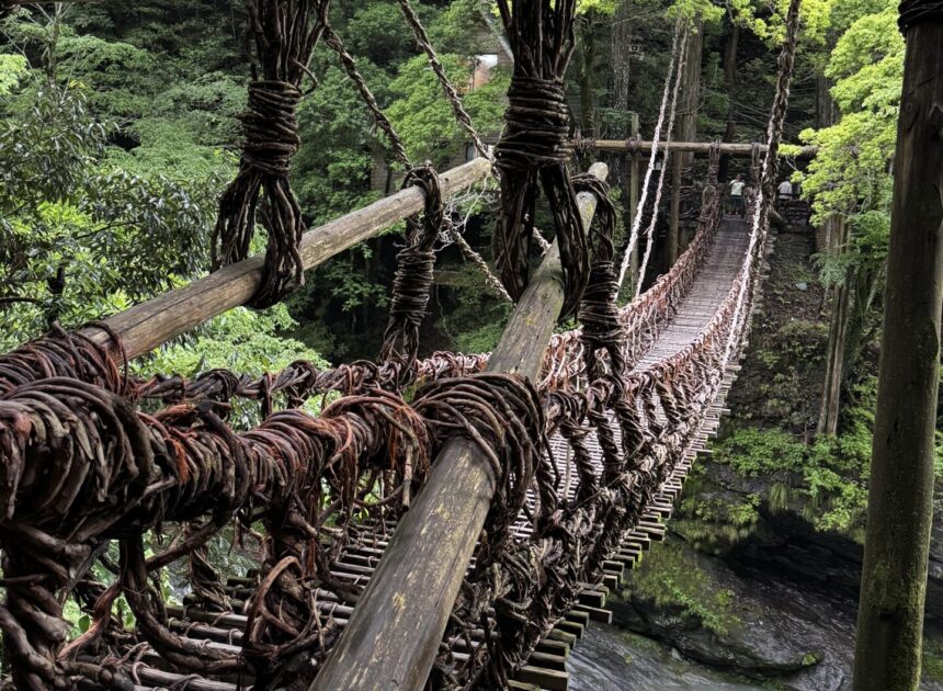 Kazurabashi Vine Bridge