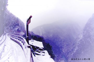 祖谷渓谷の雪景色