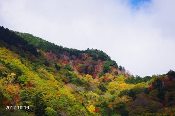 2012.10.19　★祖谷の紅葉情報★