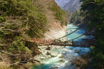 卒業旅行 in かずら橋