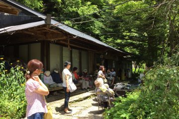 大歩危駅から奥祖谷観光