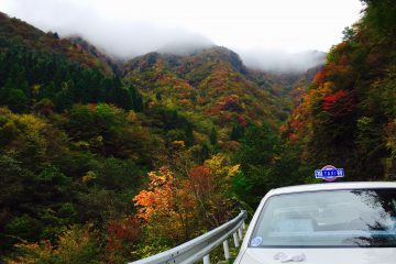 落合峠の紅葉