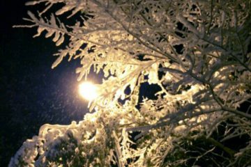 四国の雪山だより