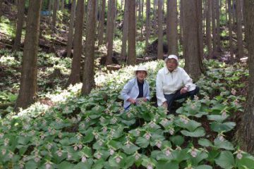 山草園にて