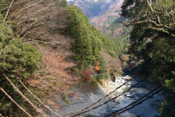 紅葉と雪山とかずら橋(^-^)