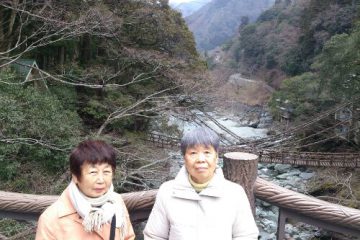 静岡県富士山の見える町～♪大歩危・祖谷へ