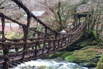 徳島、秘境祖谷～香川、讃岐うどんetc～♪