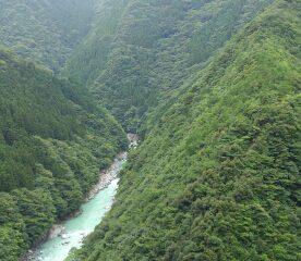 いろんな意味で雨が～♪2014 August(^-^)