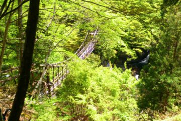 祖谷のかずら橋　VS　奥祖谷二重かずら橋