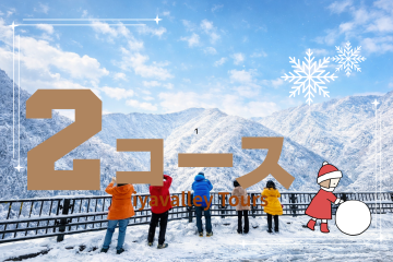 🚩人気No2【大歩危・祖谷渓谷観光コース＋観光ガイド付き・3時14,700円】