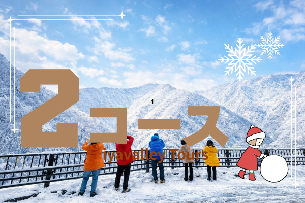 🚩人気No2【大歩危・祖谷渓谷観光コース＋観光ガイド付き・3時14,700円】