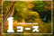 🚩人気No1  紅葉シーズン🍂奥祖谷観光コース＋観光ガイド付き・【6時間29,400円】
