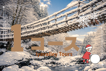 🚩人気No1  奥祖谷観光コース＋観光ガイド付き・【6時間29,400円】