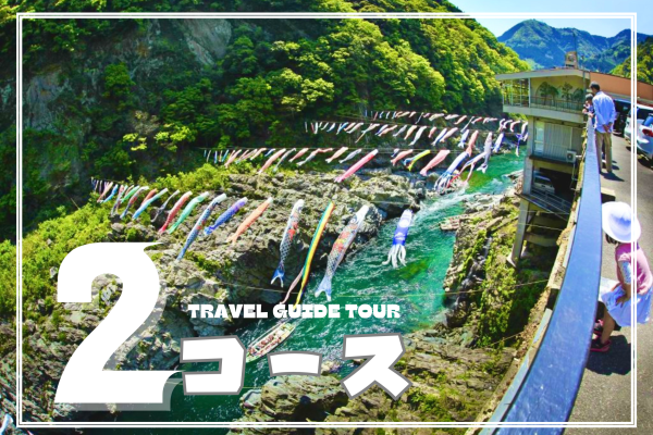 🚩人気No2【大歩危・祖谷渓谷観光コース＋観光ガイド付き・3時間まで 14,700円】