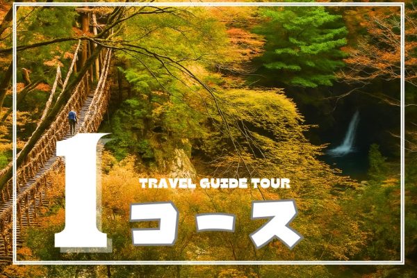 🚩人気No1 秋の🍂奥祖谷観光コース＋観光ガイド付き・【6時間29,400円】