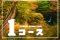 🚩人気No1 秋の🍂奥祖谷観光コース＋観光ガイド付き・【6時間29,400円】
