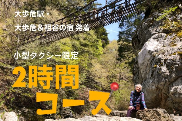 📍【2時間9,800円】祖谷のかずら橋＋祖谷渓谷（ひの字・小便小僧）コース