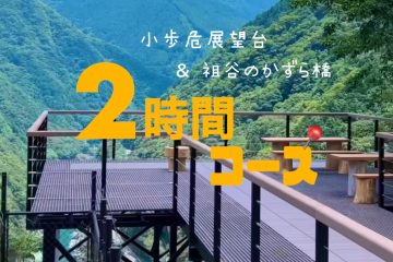 📍【2時間9,800円】祖谷のかずら橋＋小歩危展望台コース
