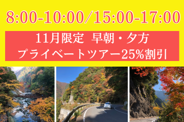 🍁早朝・夕方のみ　お手軽観光実施中【2時間まで9,800円⇒7,350円】